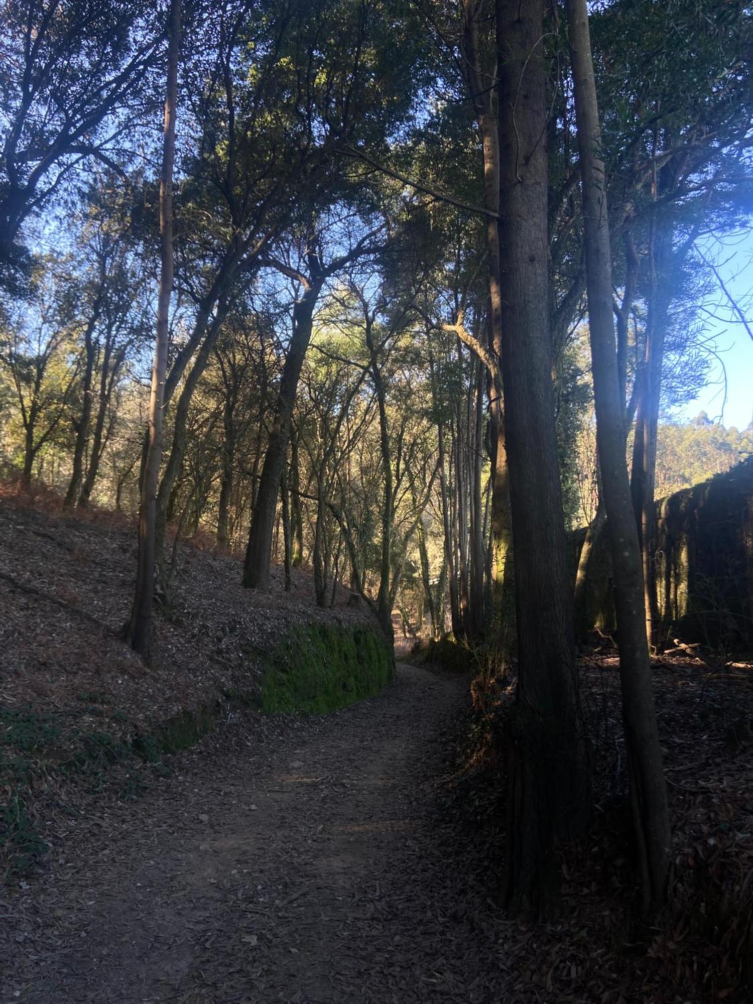 布拉加Quinta Do Senhor别墅 外观 照片