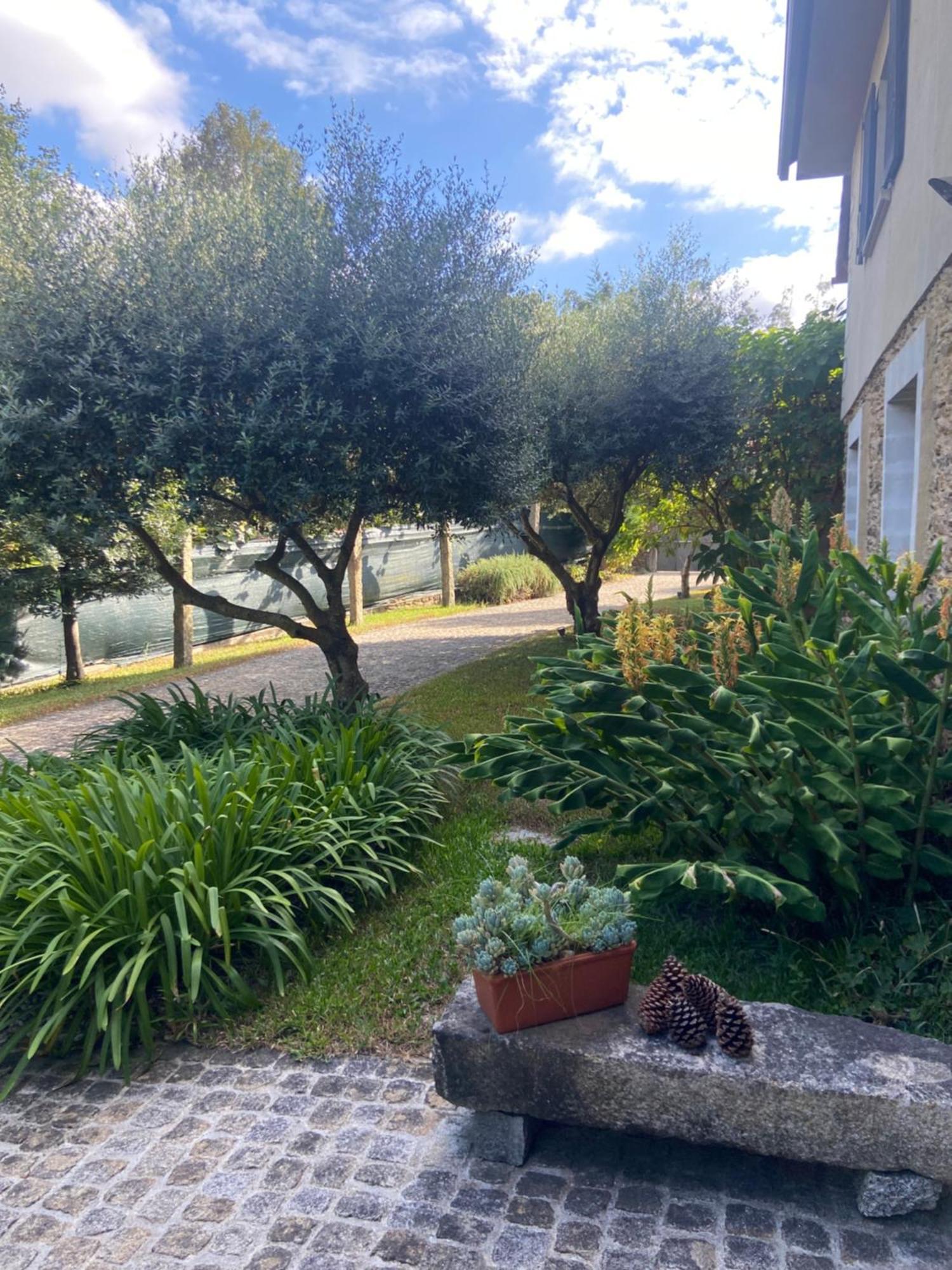布拉加Quinta Do Senhor别墅 外观 照片